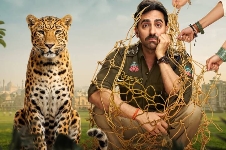 Pati Patni Aur Woh Do Box Office Collection Day 5: Why Ayushmann Khurrana’s Film Struggled Despite a Decent Start