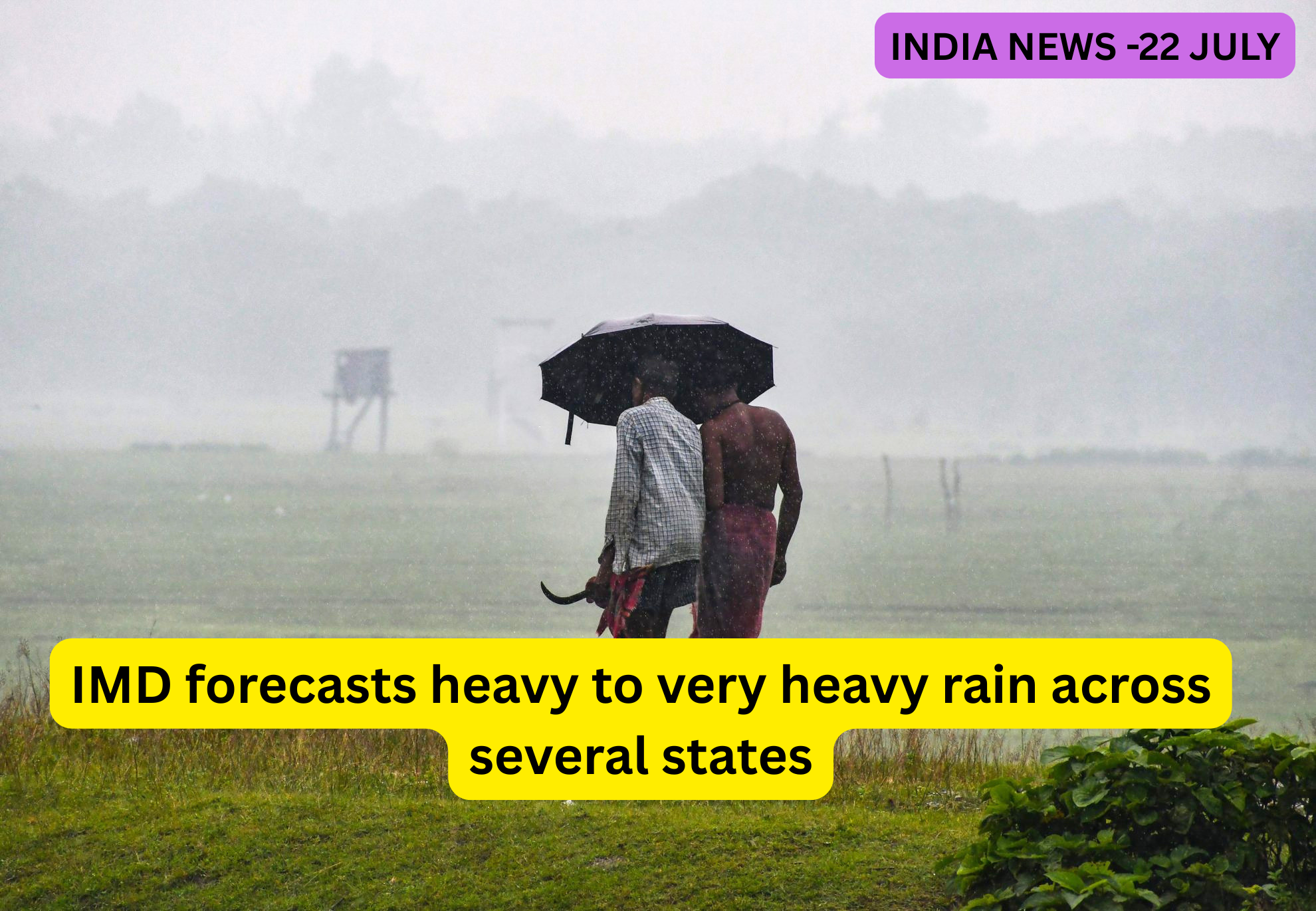 IMD Issues Heavy to Very Heavy Rain Alert Across Several States: Full List of Affected Areas, Red Alerts, Travel Advisory & Safety Tips